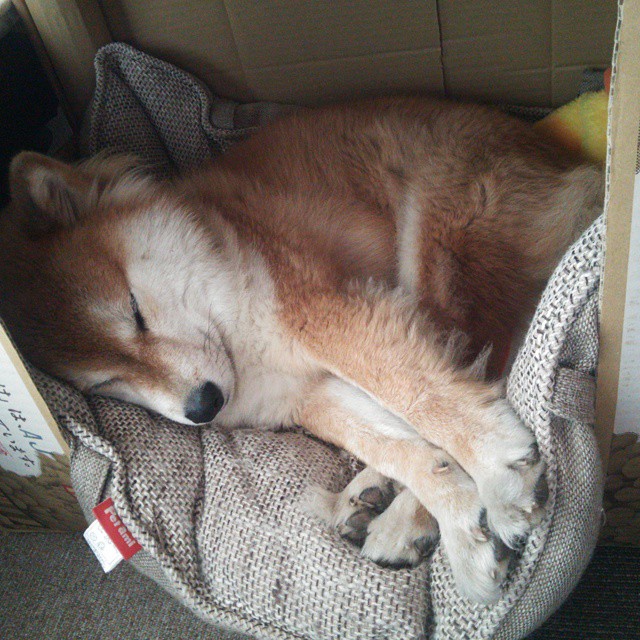 _勇士续写三分奇迹，连胜不断_，勇士27记三分