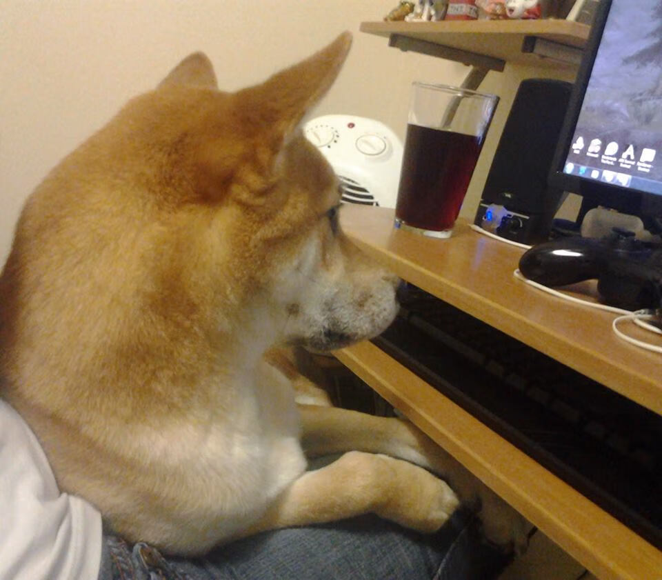 三分狂潮:北京队三分球命中率突破40%,火力全开!,本赛季球队三分球命中率排行榜