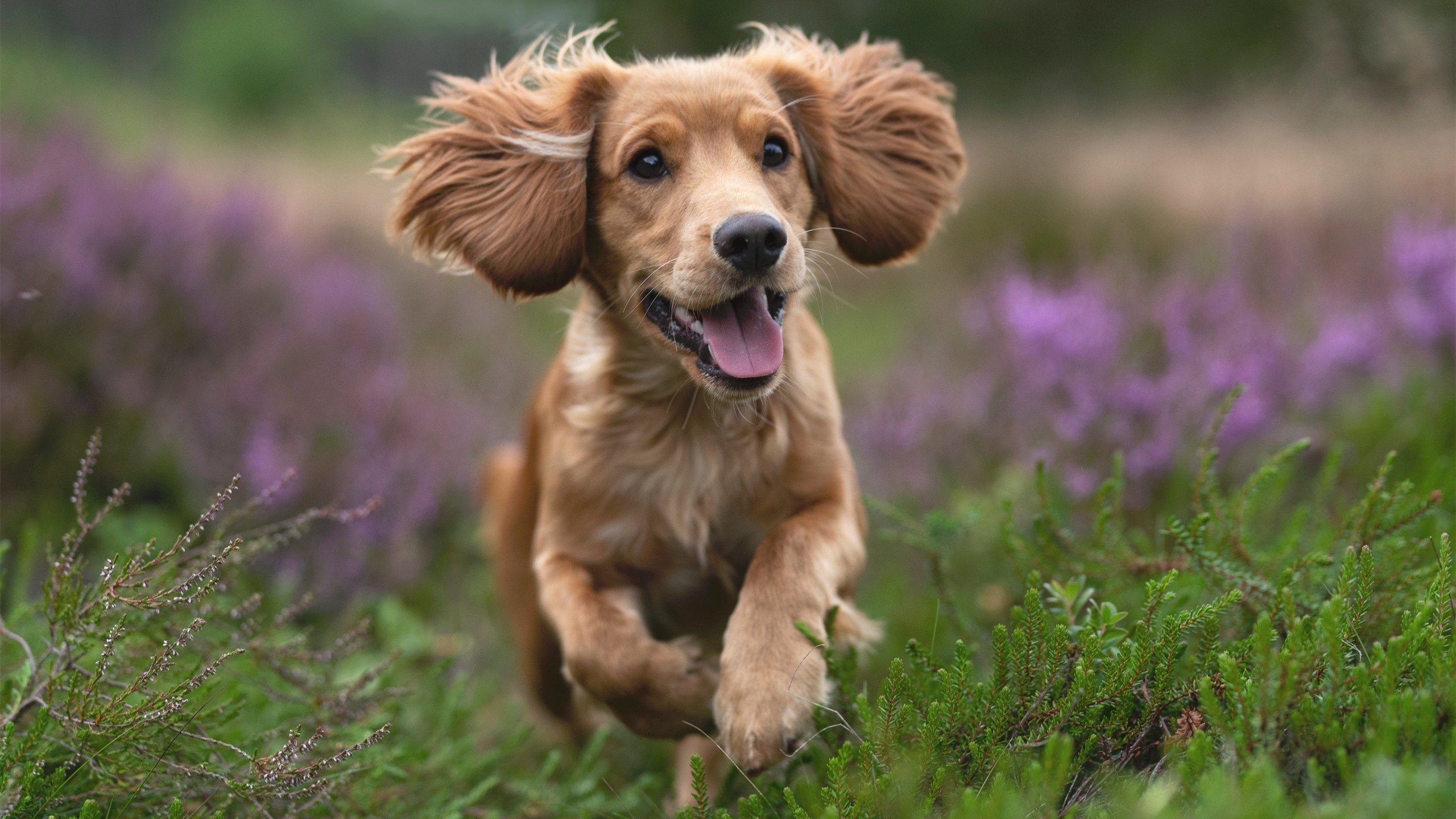 Kaiyun官方登录入口-最震撼的“十佳单场表现”全景回放，单场经典比赛