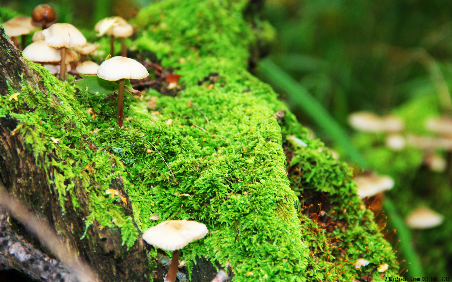 开云·体育官网APP下载-最震撼终点：逆转胜利背后的故事，逆转胜利是怎么达成