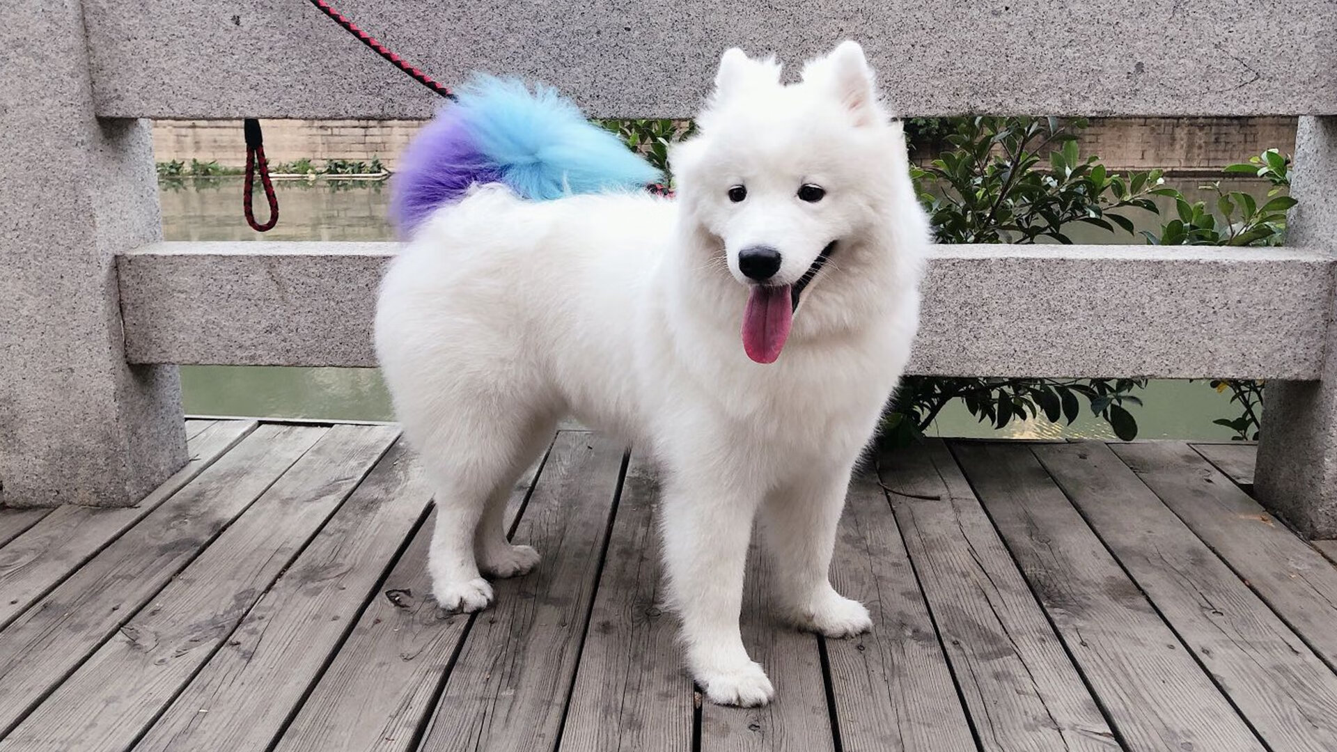 最震撼终点:逆转胜利背后的故事,逆转胜利是怎么达成