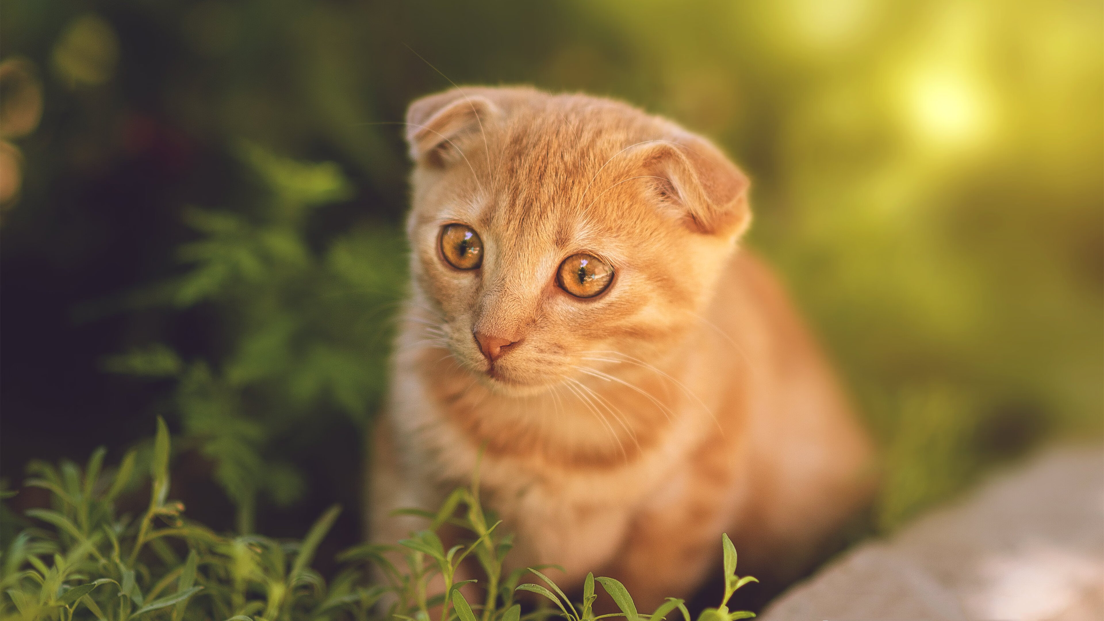 球场颜值：运动员的风采与魅力互动集锦，运动员场景