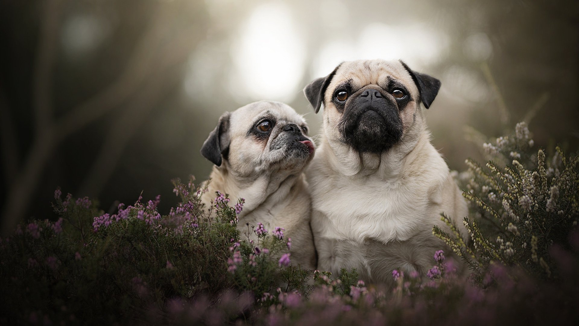 篮球职业联赛多项创新举措取得成果,篮球联赛方案策划书