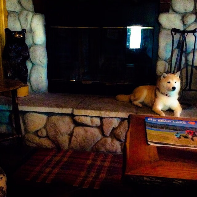 开云kaiyun-青少年足球公益项目走进农村，惠及偏远地区儿童，青少年足球训练基地