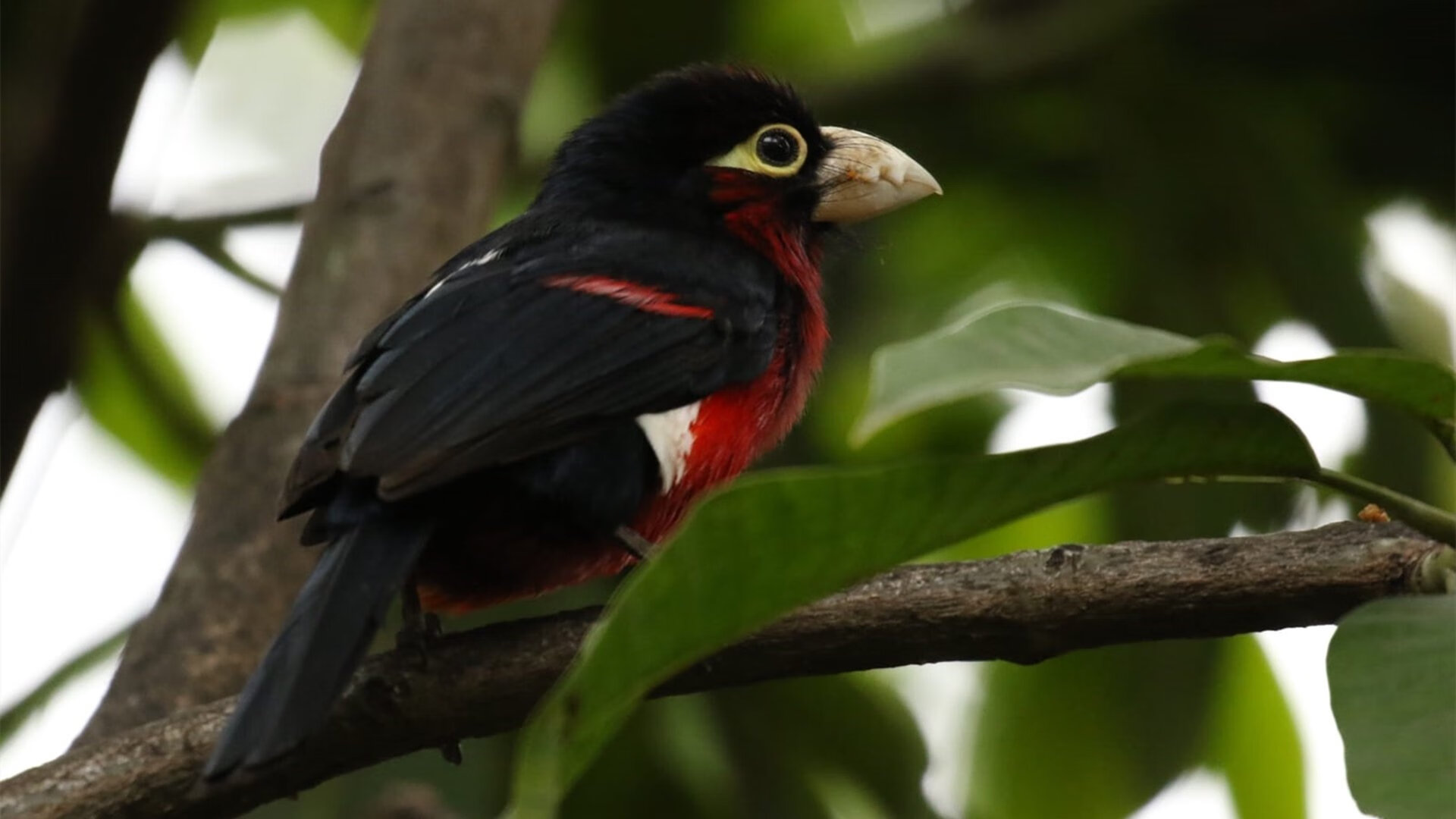 kaiyun网站-华盛顿联主场战平斯托克城，积分有所增加，华盛顿有哪只球队