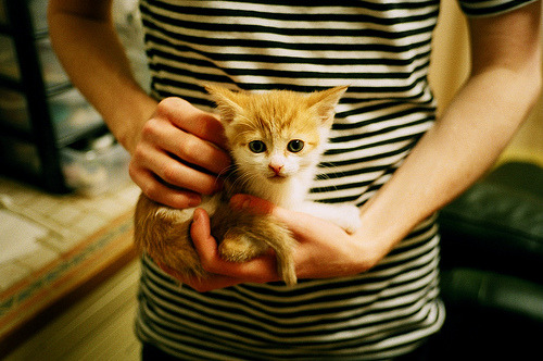 开云体育在线赛事直播-国际顶尖球员将参加重要篮球赛事，国际篮球巨星都有谁