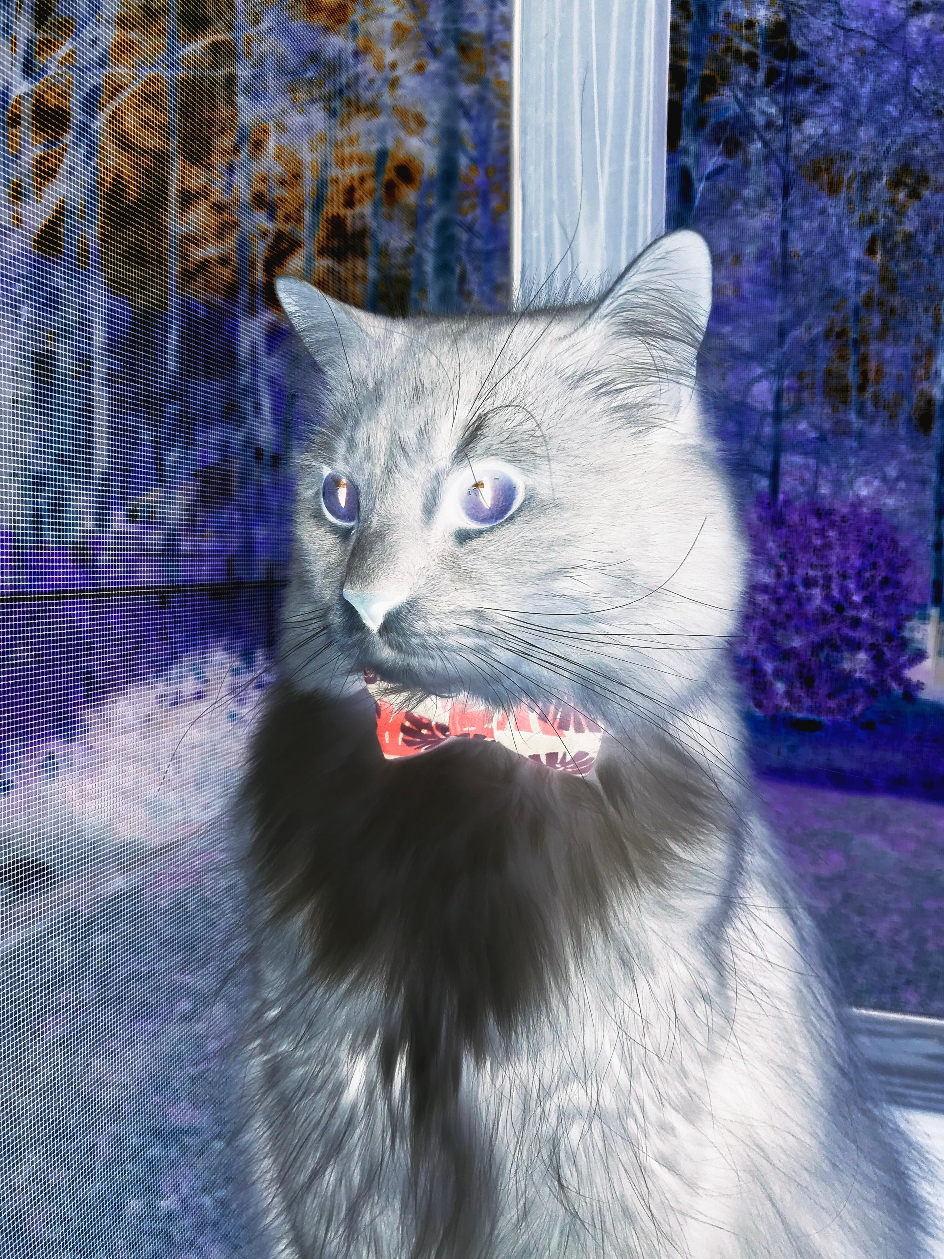 开云官方网站-国际顶尖球员将参加重要篮球赛事，国际篮球运动员最新世界排名