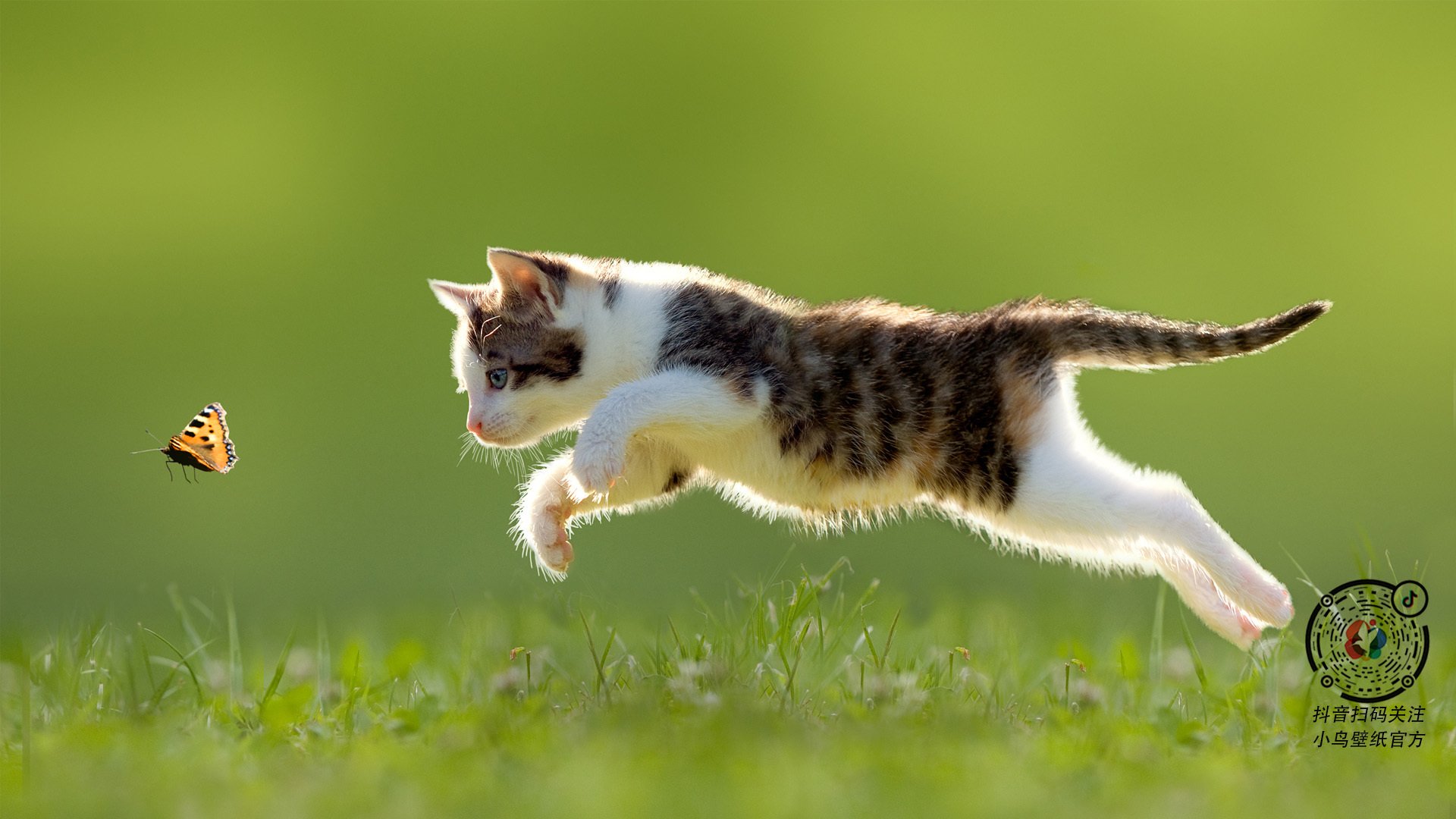 德国女足惊险获胜,晋级之路一触即发,德国女足球队