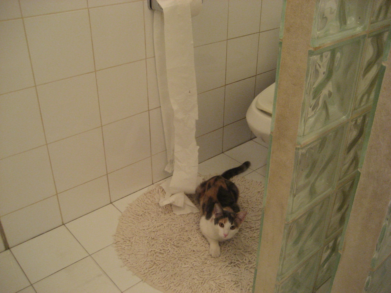 赫尔城锋线连续建功,老虎军团有望冲击欧战,赫尔城对古灵汉姆