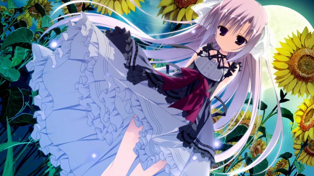 中国篮球青少年篮球训练设施建设现状分析，《中国青少年篮球训练教学大纲》