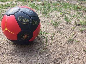 开云入口-全国老年人健身球操赛展银发激情，老年健身球类