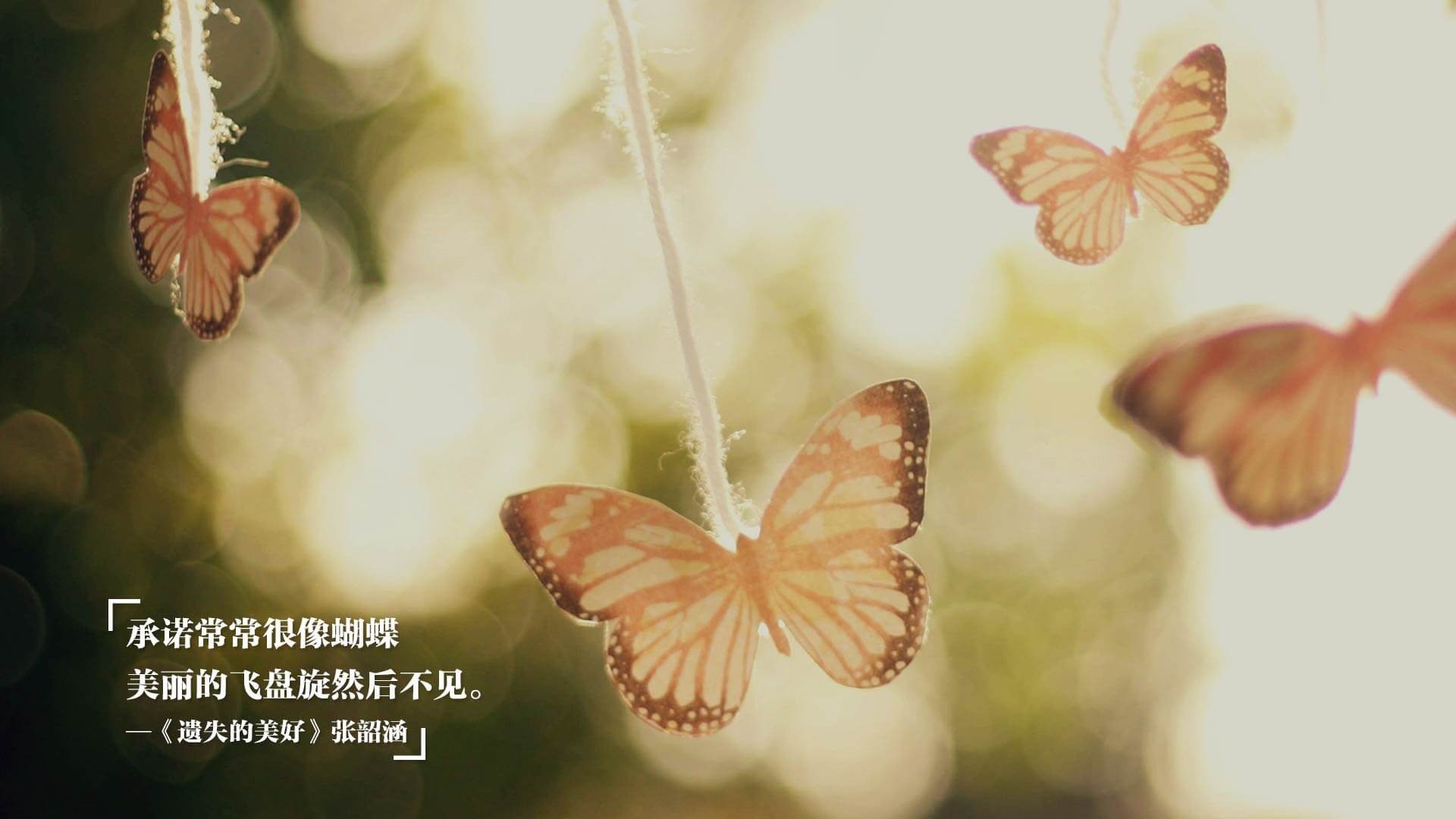 高校专业发展对策,高校专业建设方案