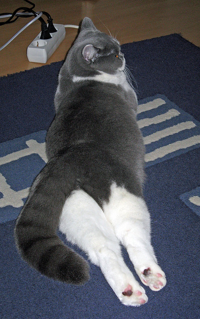 kaiyun体育app-中国男篮全员健康备战 阵容深度逐渐增强，中国男篮备战情况