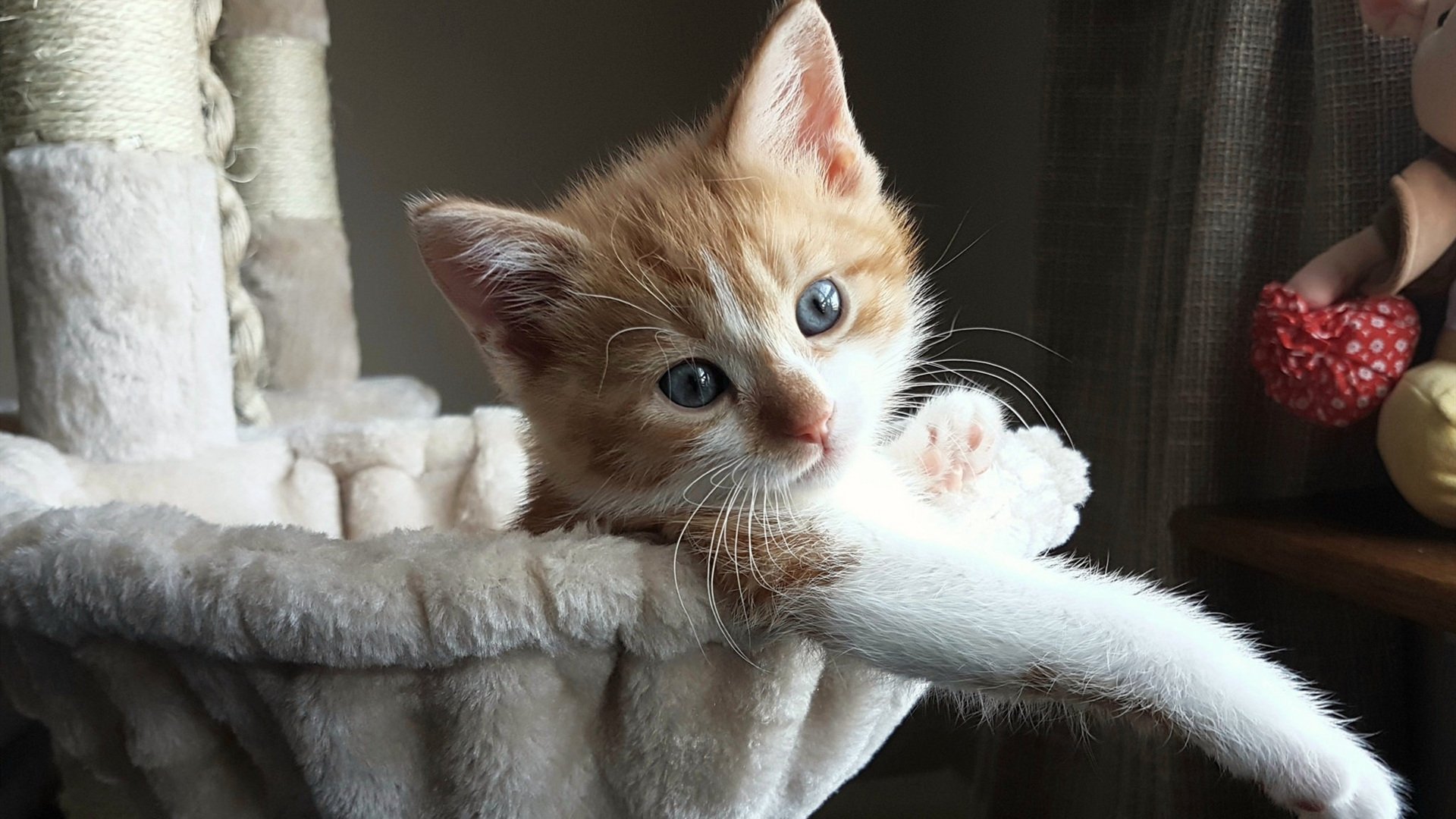 kaiyun中国官方网站-中超联赛球迷支持热情不减，中超球队球迷素质排行