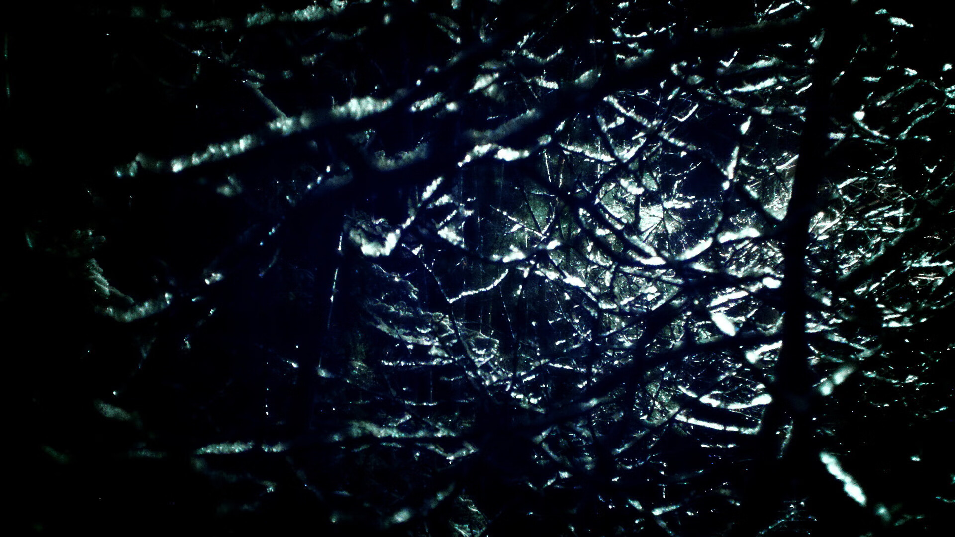 体育新闻中心构建体育赛事版权管理体系,体育比赛版权申请