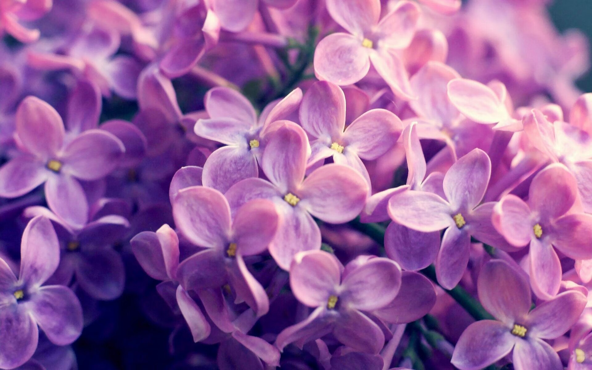 开云APP-青少年球员疲劳训练问题未被重视，青少年疲劳综合症