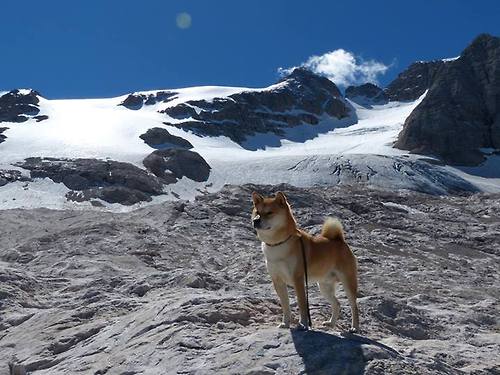 国王罚球线表现稳定全队命中率提升,国王球场