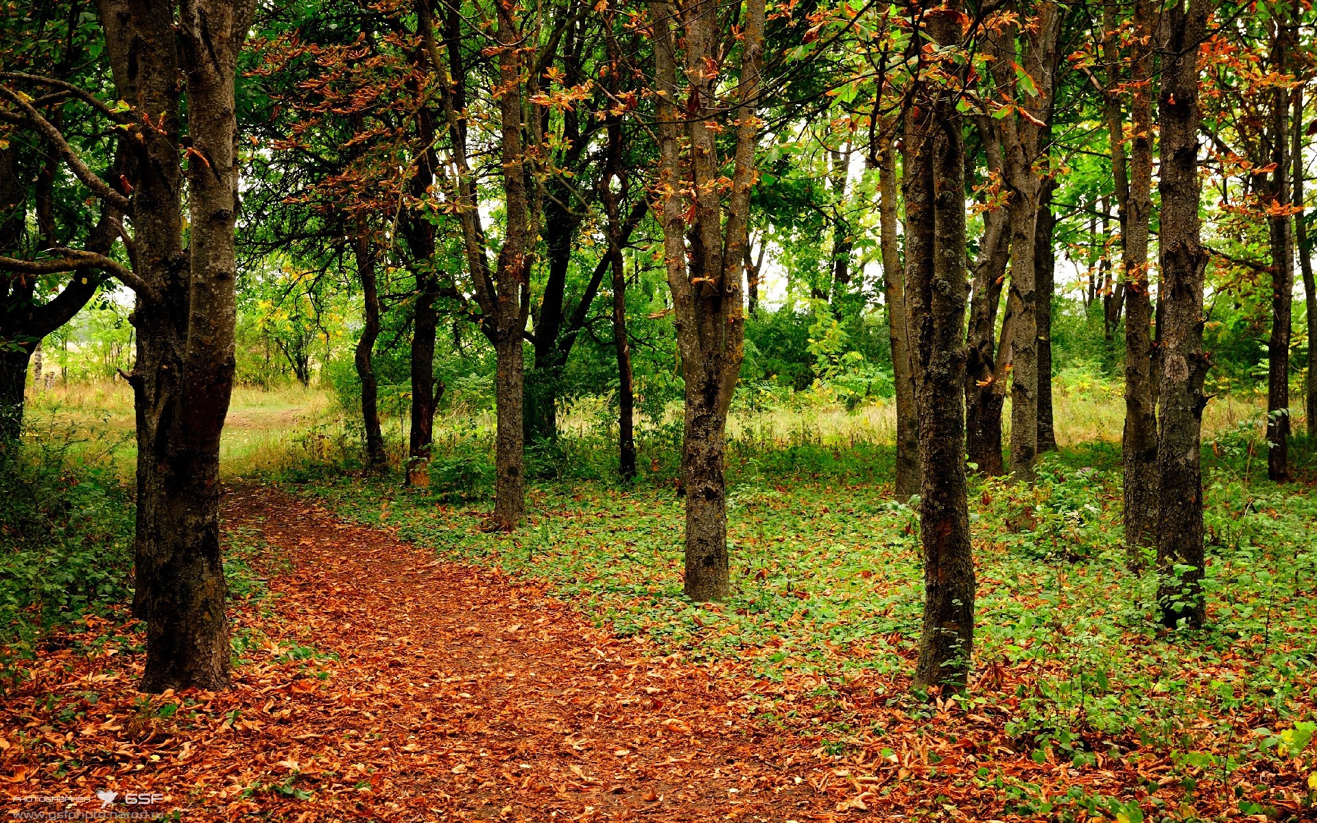 开云官方网站-欧锦赛决赛日，希腊和西班牙再度激战，争夺金牌殊荣，欧锦赛战果