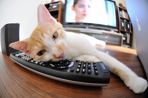 男子篮球注重球员个人技术提升促进全面发展，篮球运动员如何提高身体素质