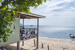 开云官网在线-绿色场馆覆盖智能环保系统，推动全球体育绿色低碳行动，绿色场馆建设