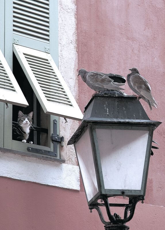 绿色场馆覆盖智能环保系统，推动全球体育绿色低碳行动，绿色场馆建设