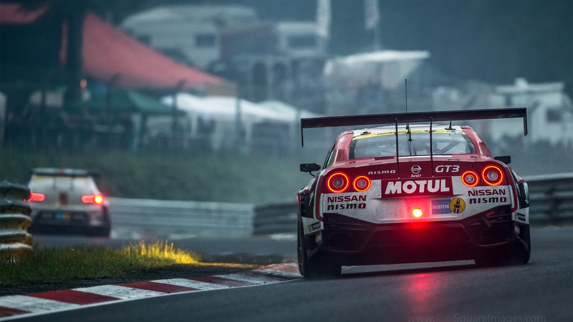 蛙泳赛场荷兰节奏控制精准，国外蛙泳